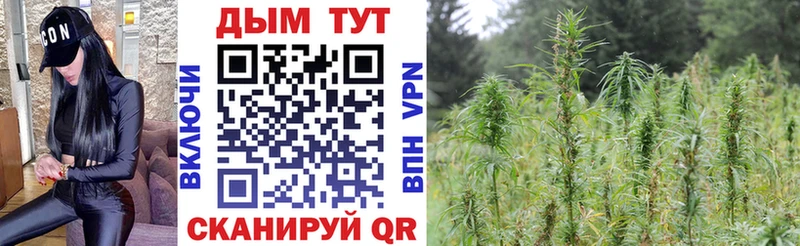 Канабис тримм Цоци-Юрт